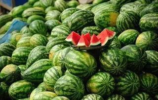 苏州 吃瓜,品味瓜果，畅享清凉时光