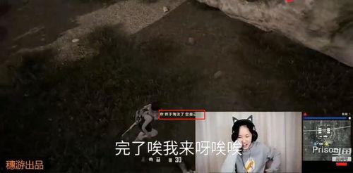 大力直播间吃瓜,揭秘大力直播间吃瓜背后的故事