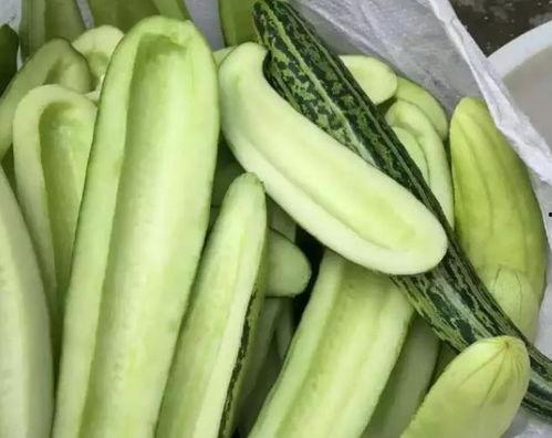 瓜哥带你吃地瓜,瓜哥带你领略地瓜美食之旅