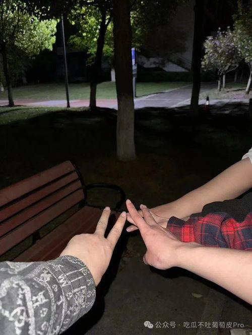 长椅事件吃瓜,一场引发热议的邻里纠纷