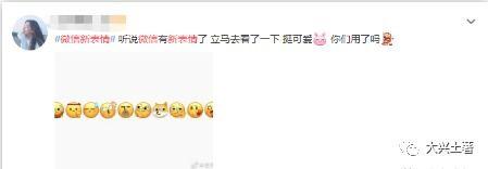 微信私聊吃瓜,揭秘网络社交背后的八卦风云