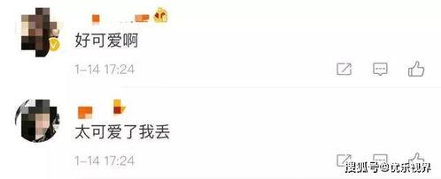 微信私聊吃瓜,揭秘网络社交背后的八卦风云