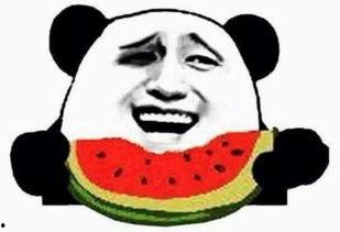 丽水吃瓜群众视频,揭秘当地独特美食文化