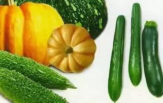 青岛大学304吃瓜,吃瓜群众的欢乐盛宴