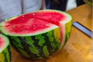 青岛大学304吃瓜,吃瓜群众的欢乐盛宴