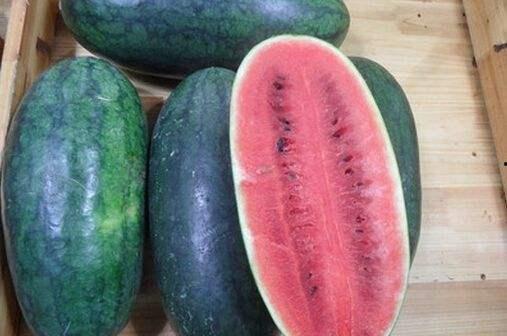 青岛大学304吃瓜,吃瓜群众的欢乐盛宴