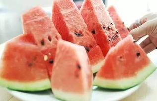 后面的吃瓜落,一场关于美食与文化的盛宴