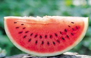 后面的吃瓜落,一场关于美食与文化的盛宴