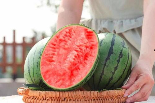 吃瓜多了吃不掉怎么办,吃瓜过多困扰多？巧妙应对瓜果过剩攻略