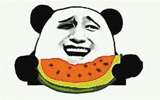 吃瓜不怕瓜大什么意思,揭秘“吃瓜不怕瓜大”背后的趣味与哲理