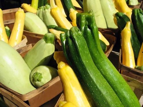 吃蛋瓜爱吃瓜什么意思,探寻“吃蛋瓜爱吃瓜”的独特饮食文化