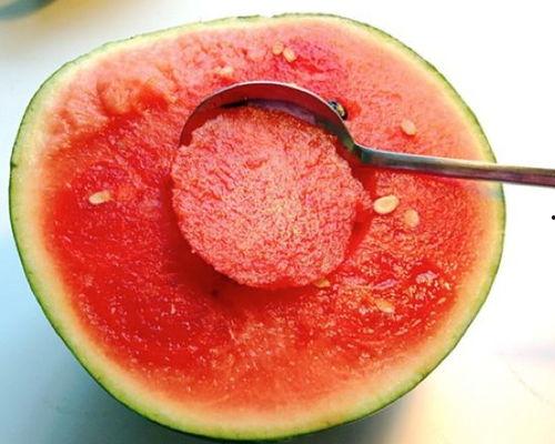 吃蛋瓜爱吃瓜什么意思,探寻“吃蛋瓜爱吃瓜”的独特饮食文化