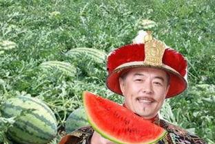 开端瓜农片段吃瓜,瓜农的甜蜜生活，吃瓜乐趣无限