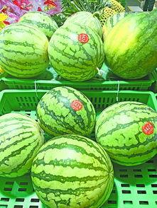 武汉吃瓜网站,揭秘城市生活百态，带你领略武汉风土人情