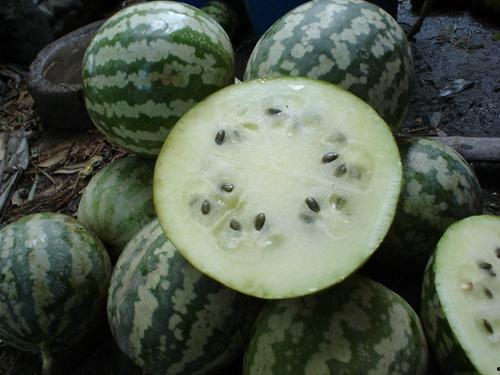 福手瓜怎样吃,探索美味与营养的完美结合