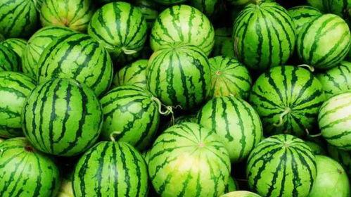 吃瓜网爆最新,娱乐圈最新劲爆事件大揭秘！