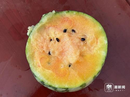 吃瓜网爆最新,娱乐圈最新劲爆事件大揭秘！