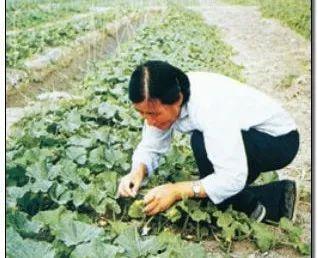 全网最全吃瓜群,揭秘娱乐圈幕后真相，带你领略八卦风云！