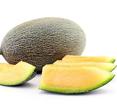 吃小孩的蜜瓜,揭秘吃小孩的神秘传说