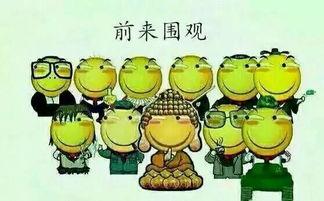 吃瓜群众贵州,吃瓜群众眼中的多彩画卷