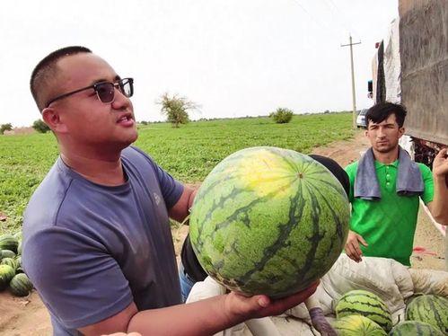 王嘉豪吃瓜,揭秘娱乐圈幕后故事