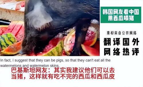 直播创业吃瓜,吃瓜群众见证的创业传奇